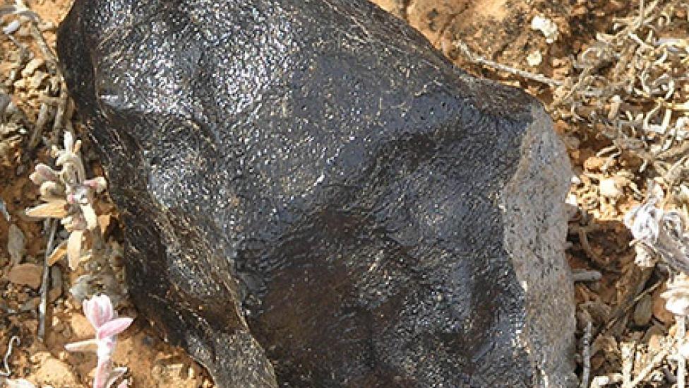 One mass of the Bunburra Rockhole meteorite - Photo by Alex Bevan One large piece of a meteorite on the ground