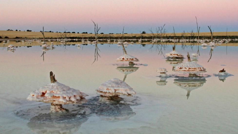 Our Impact category winner - Salinity by Twilight by Keith Lightbody, Western Australia