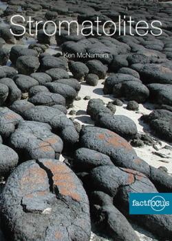 Stromatolites Stromatolites