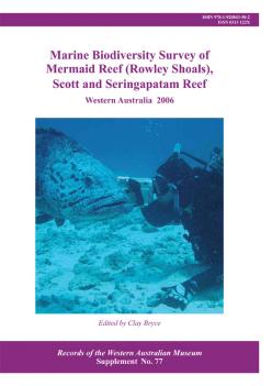 Mermaid Reef