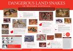 Dangerous Snakes of WA