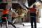 Moving the Carnotaurus from WA Land and People @ Perth