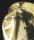 Yellow diamonds from the Ellendale diamond collection
