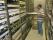 Lifting out a tray of preserved molluscs from the Museum's malacology dry collection