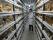 A view of the fish section the Museum's wet store