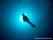 Diver silhouetted against a sunball