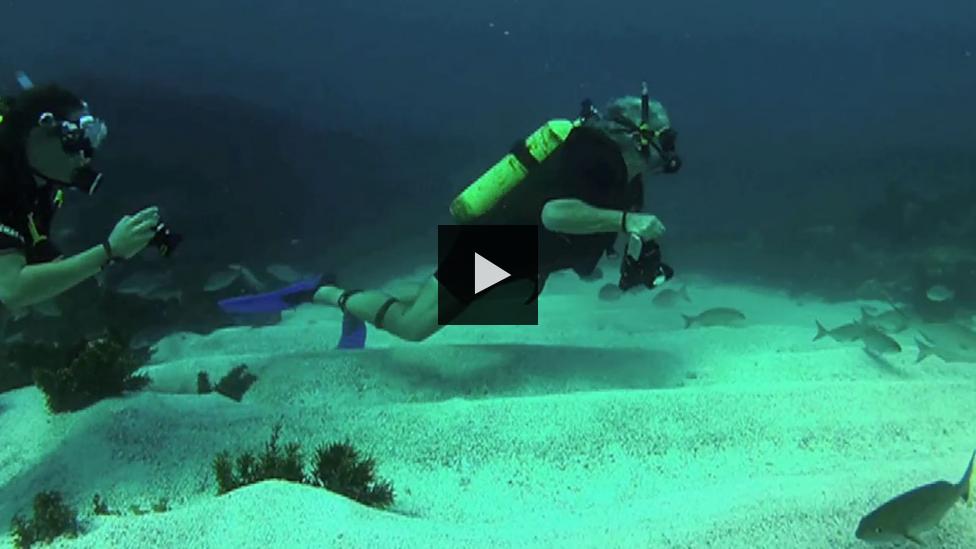 Month of Shipwrecks – Batavia Dive 2013 - Scuba diver under water on sea bed