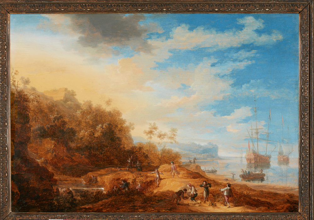 Coast Landscape