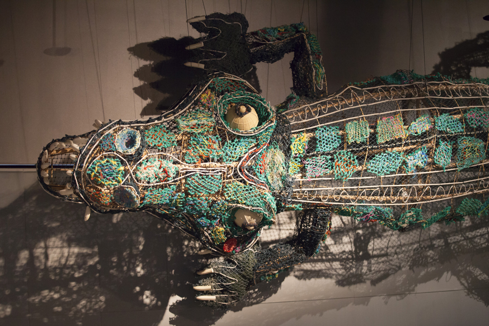“Crocodile