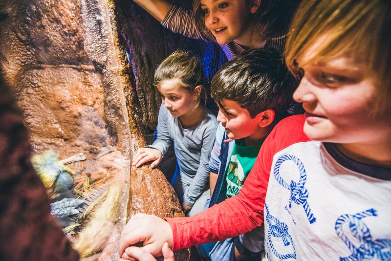 Children looking at collections