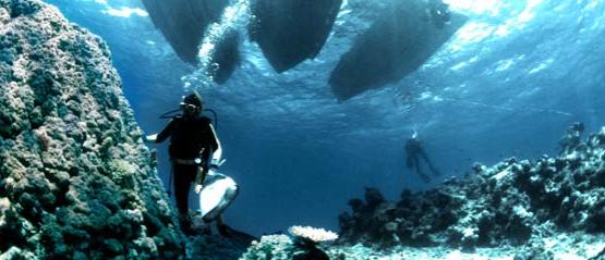 Marine research expedition Copyright Western Australian Museum Photograph by Clay Bryce