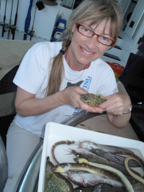 Sue Morrison with voucher specimens.