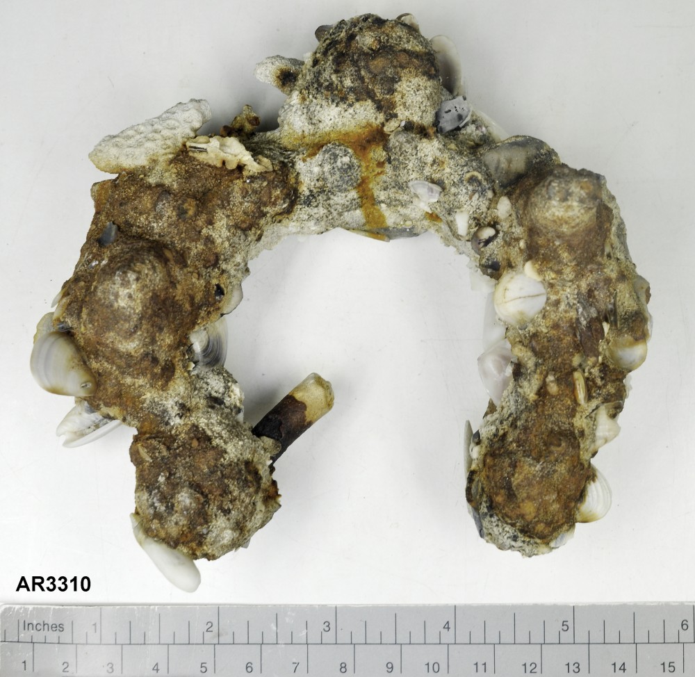 AR3310 Ship's fittings artefact recovered from Arpenteur