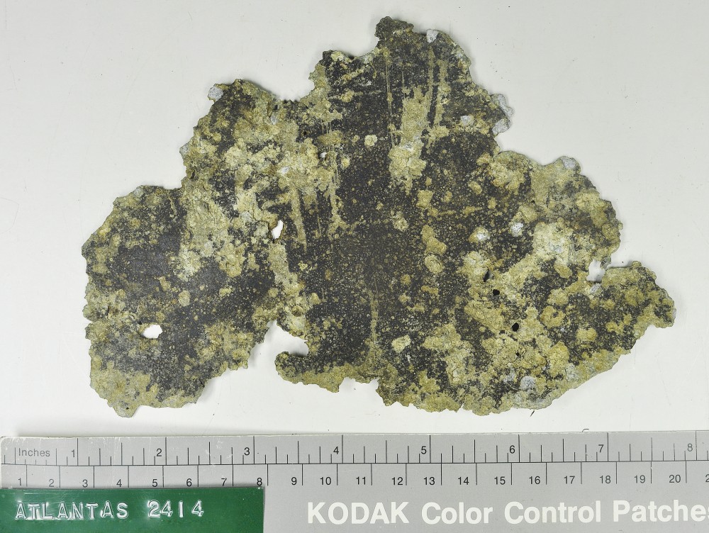 ASP2414 Tin artefact recovered from Atlantis Seaplane Float