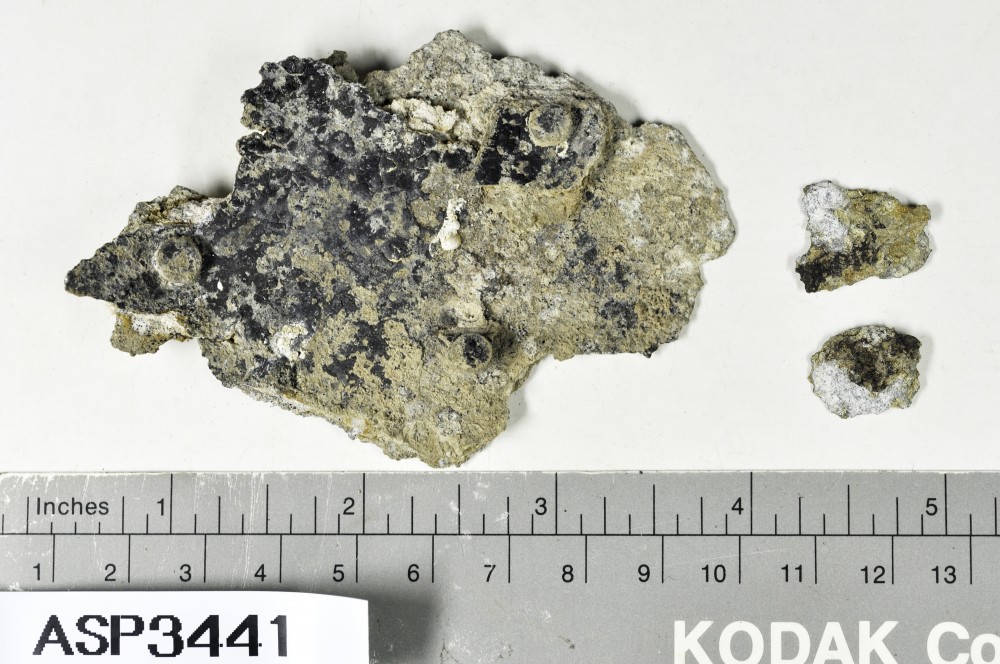 ASP3441 Tin artefact recovered from Atlantis Seaplane Float