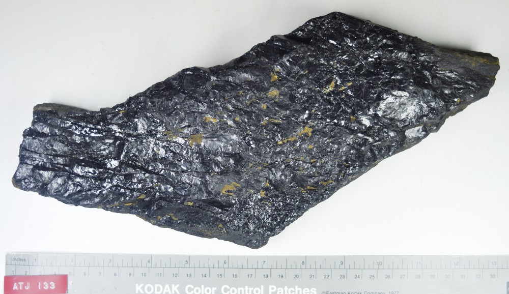 Coal artefact recovered from Albany Town Jetty site