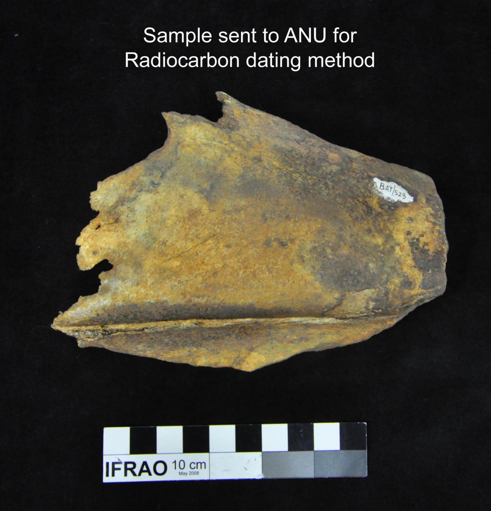 BAT523 Animal artefact recovered from Batavia