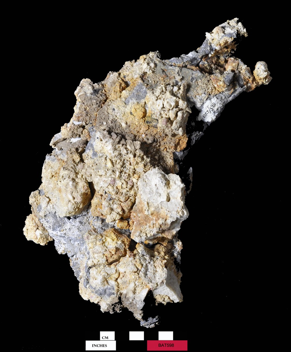 BAT598 Lead artefact recovered from Batavia