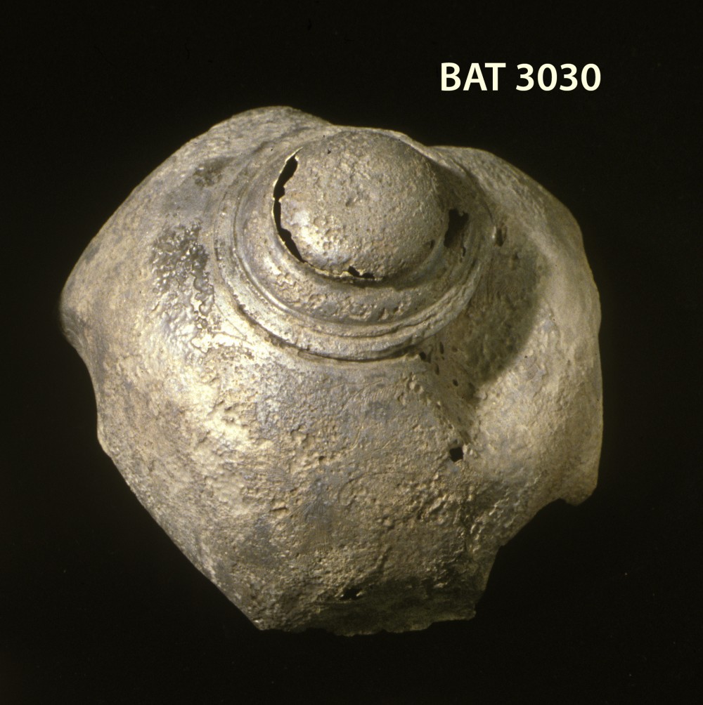 Silver artefact recovered from Batavia