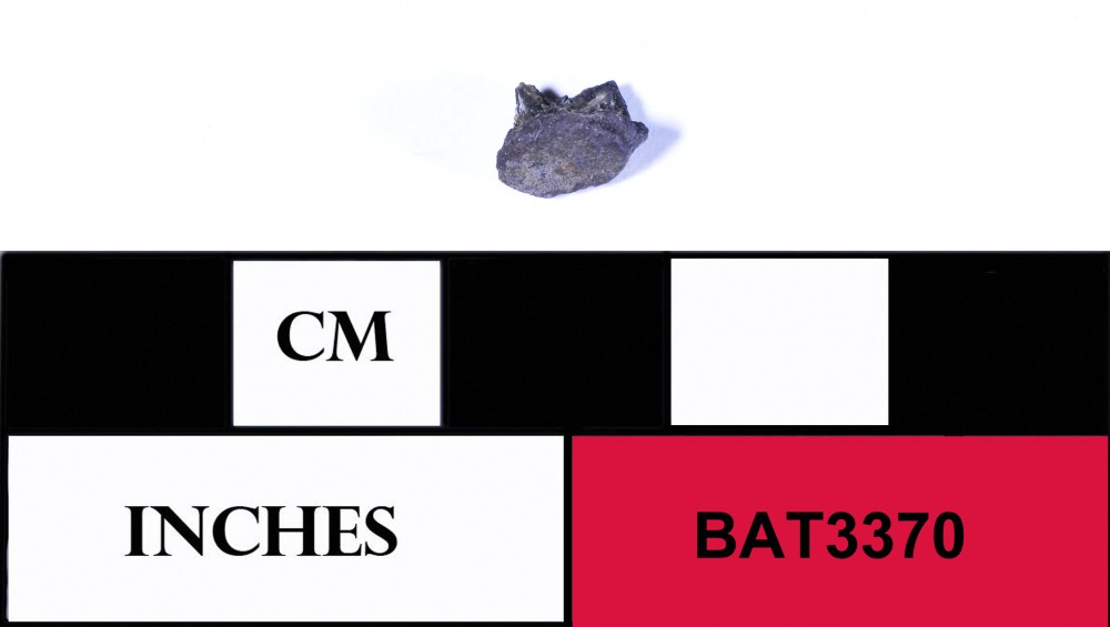 BAT3370 Copper/brass artefact recovered from Batavia