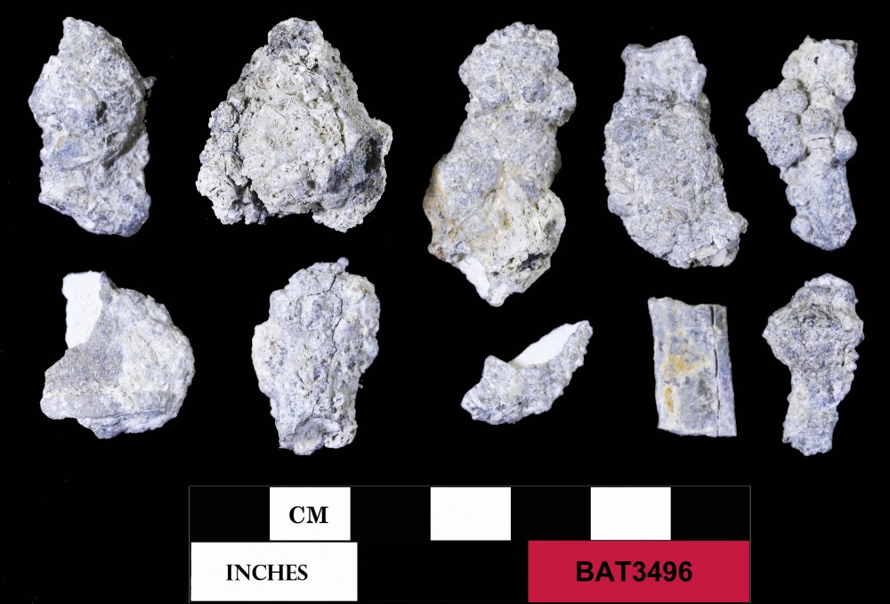 Pewter artefact recovered from Batavia
