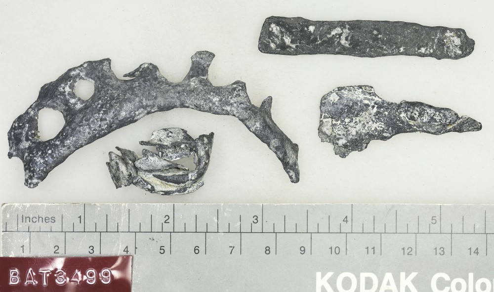 BAT3499 Lead artefact recovered from Batavia