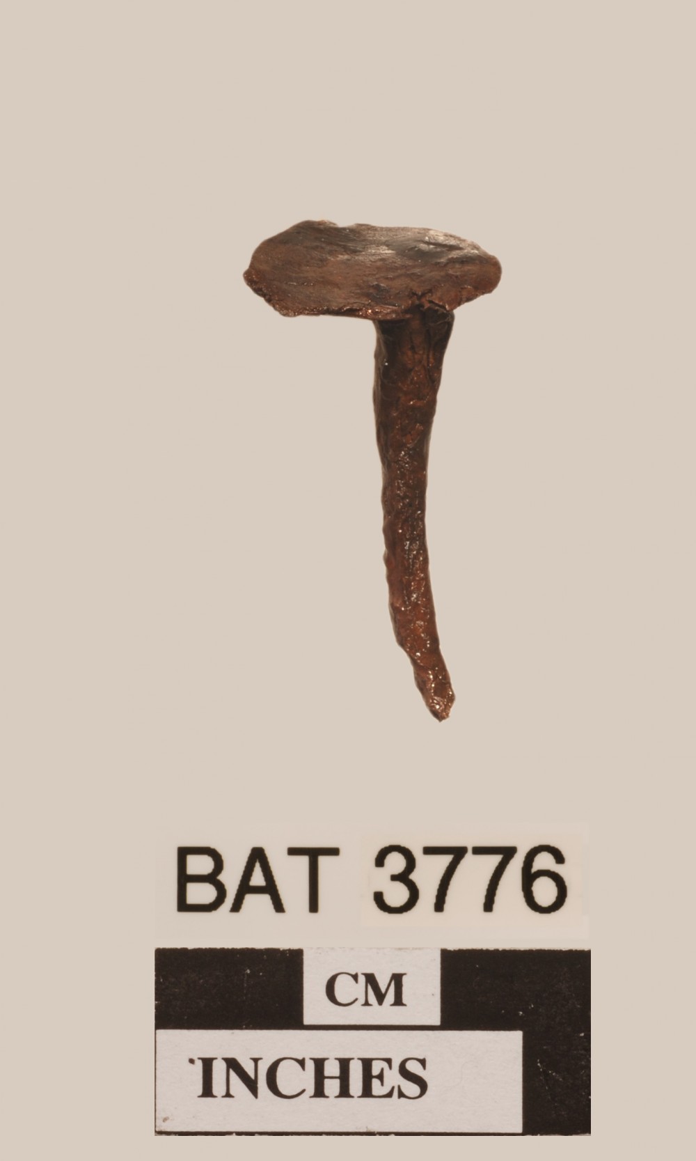 BAT3776 Copper/brass artefact recovered from Batavia