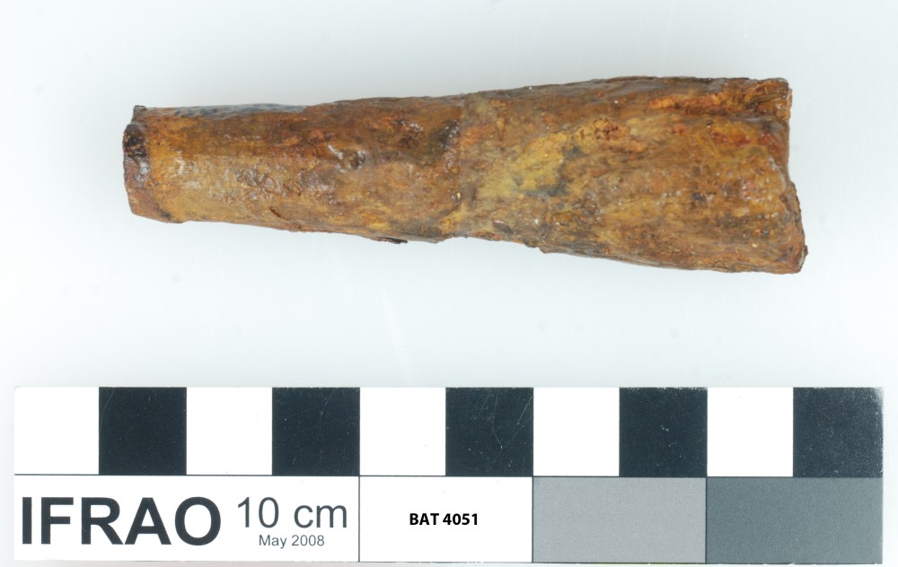 Animal artefact recovered from Batavia