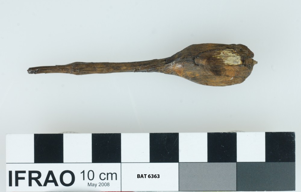 Miscellaneous artefact recovered from Batavia