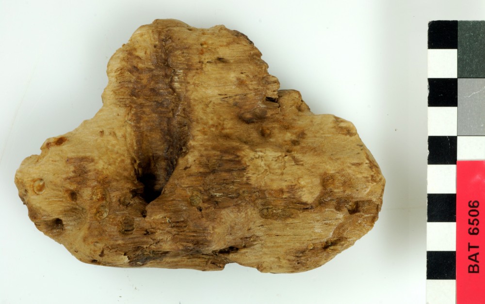 BAT6506 TIMBER artefact recovered from Batavia