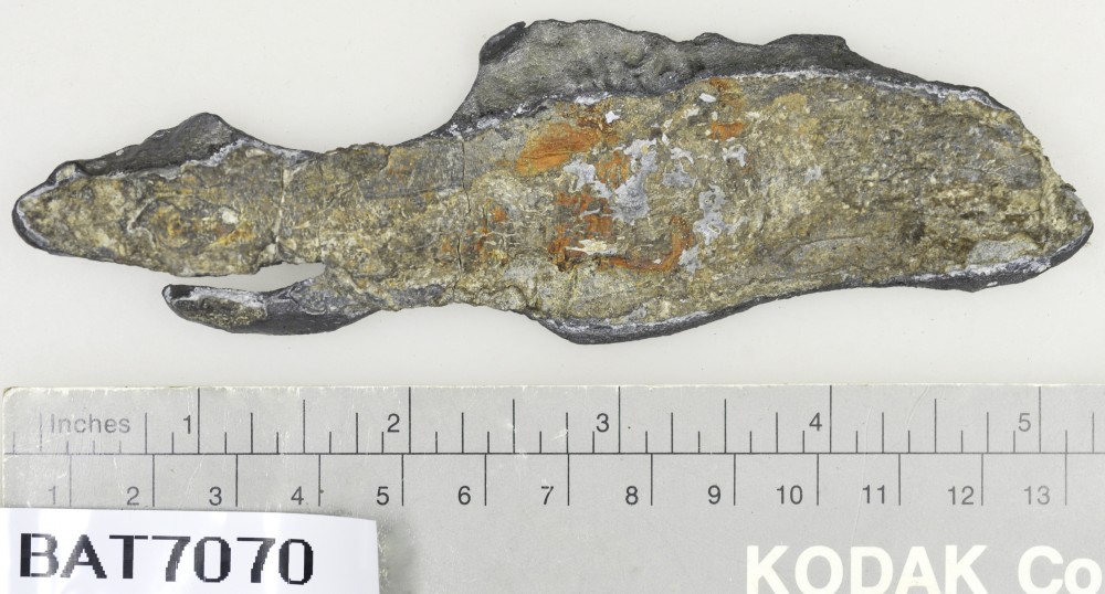 Lead artefact recovered from Batavia