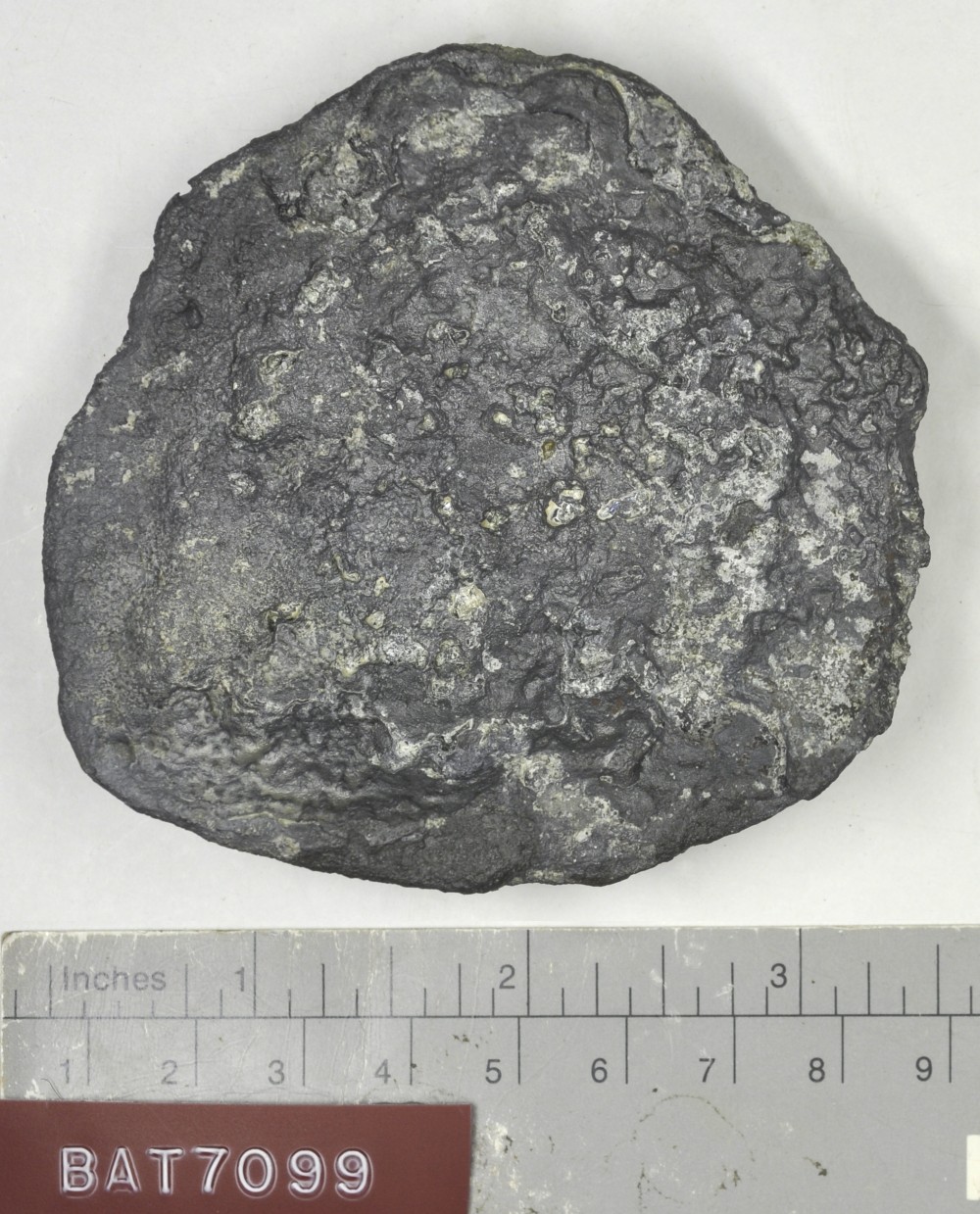 BAT7099 Lead artefact recovered from Batavia