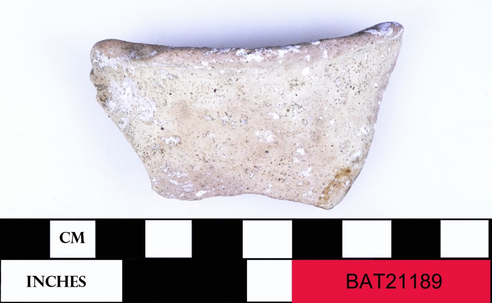 Majolica artefact recovered from Batavia