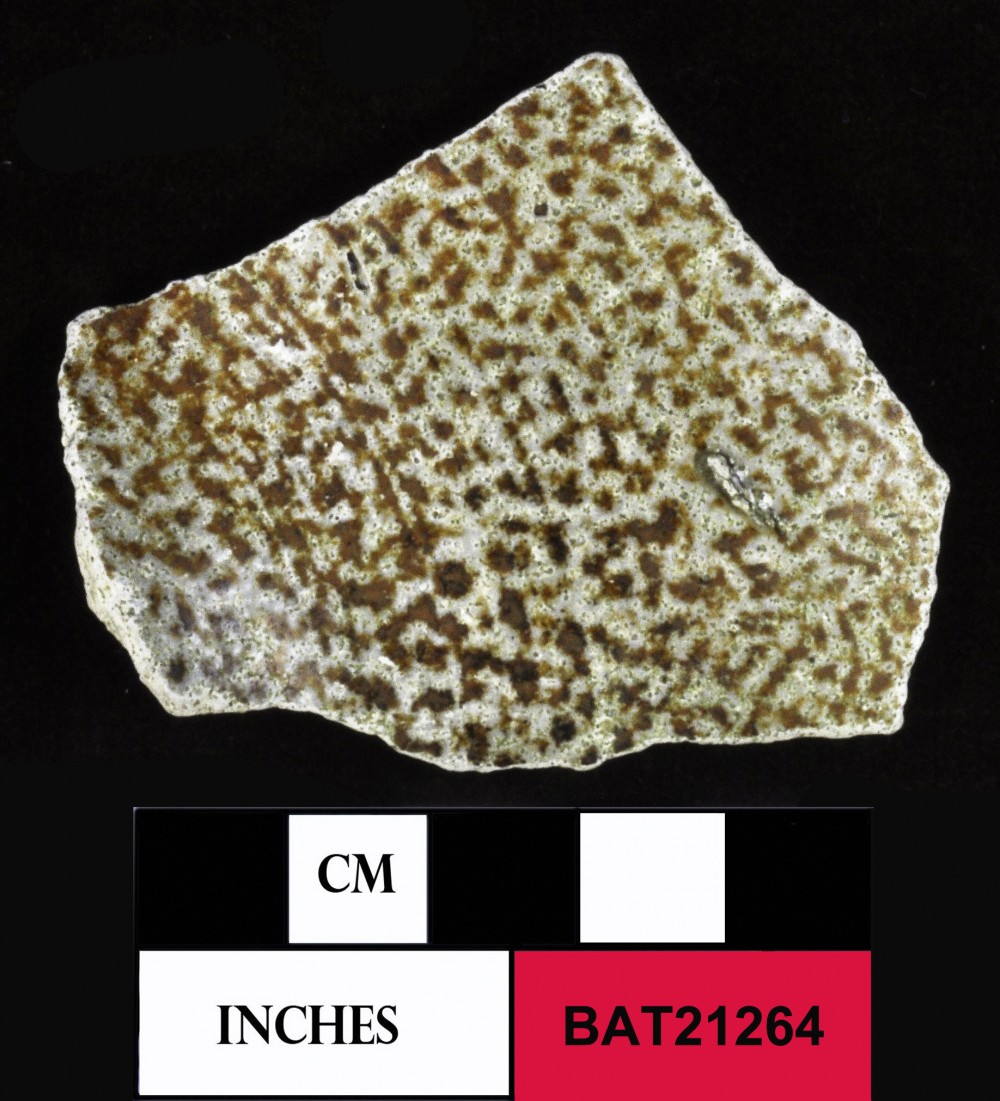 BAT21264 Stoneware artefact recovered from Batavia