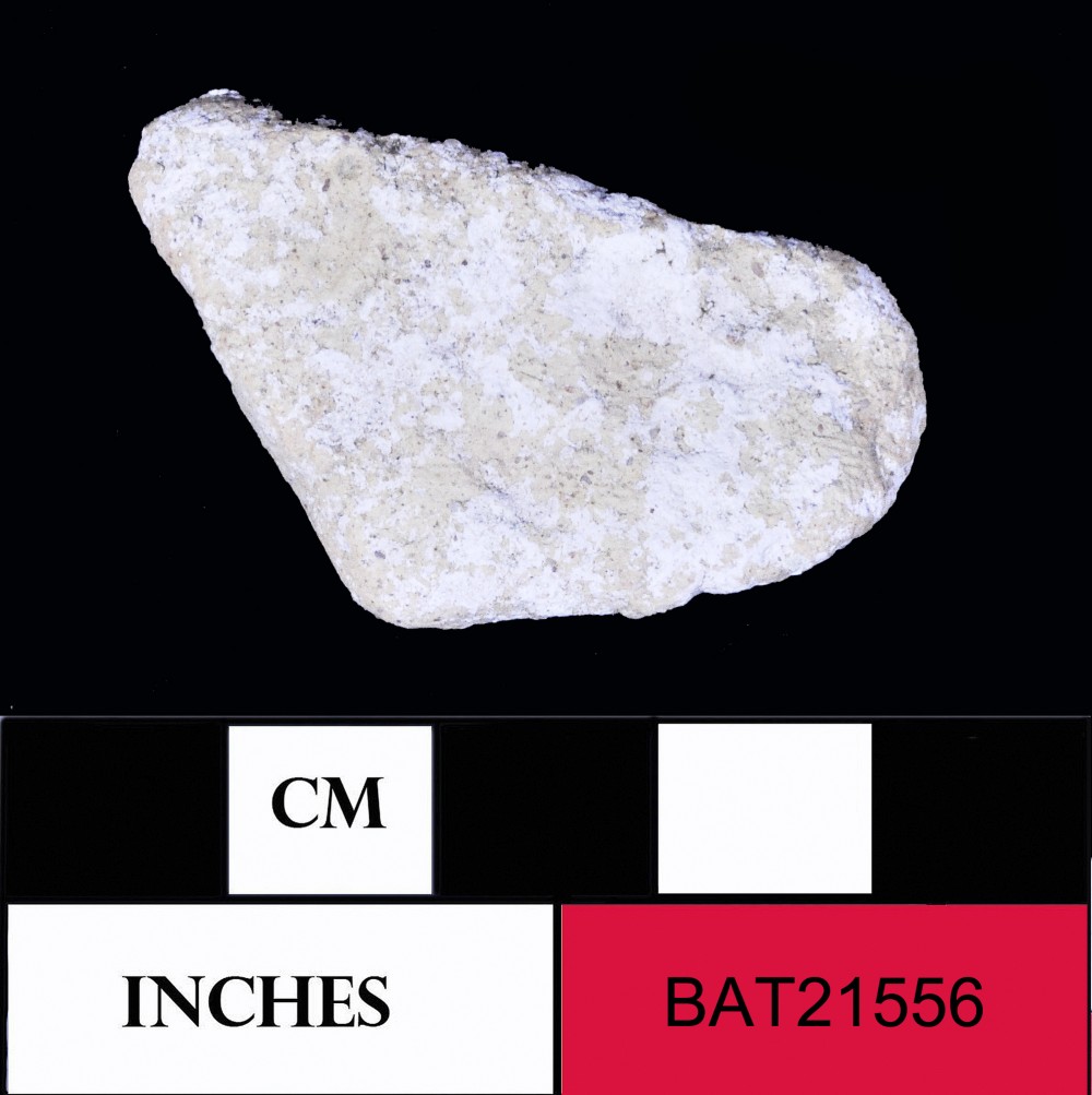 BAT21556 Majolica artefact recovered from Batavia