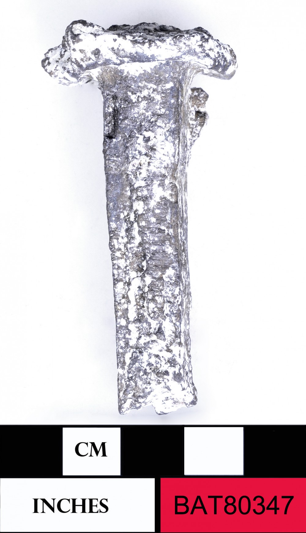 BAT80347 Ship's fittings artefact recovered from Batavia