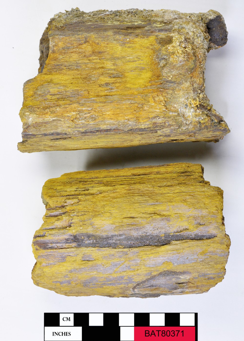 BAT80371 Armament artefact recovered from Batavia