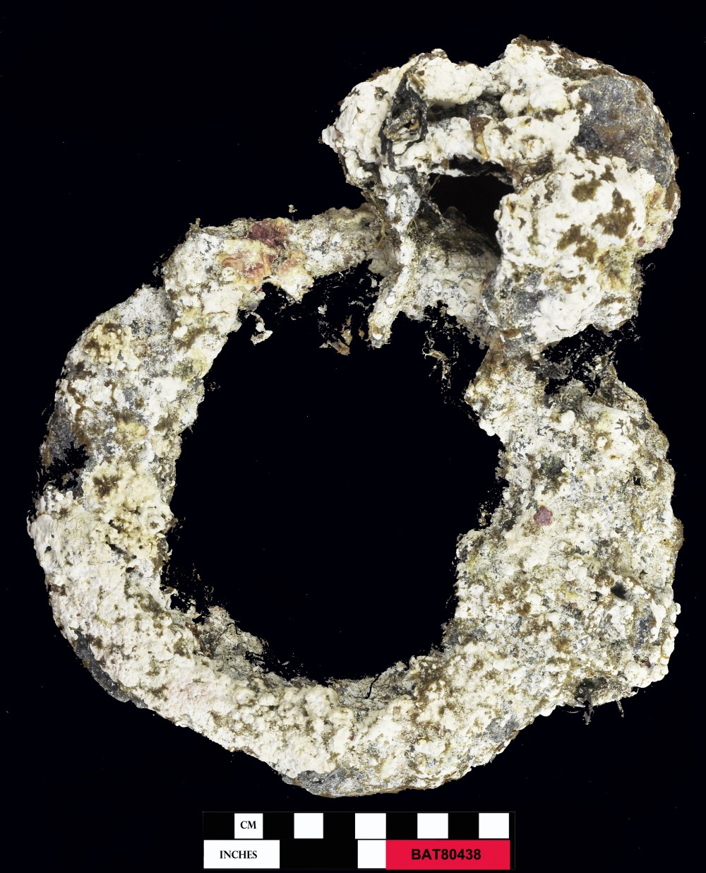 FERROUS artefact recovered from Batavia