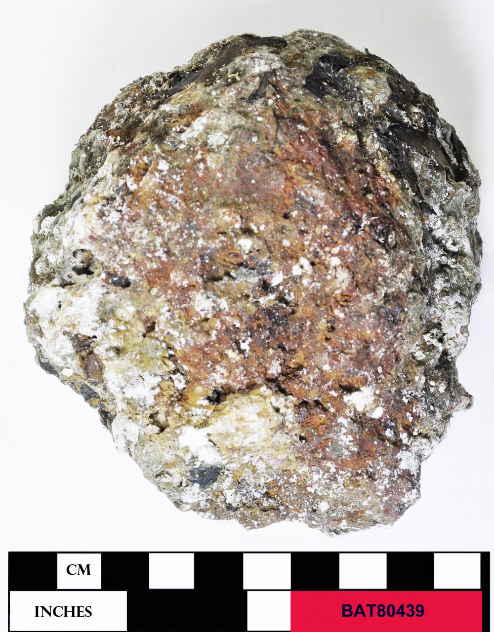 BAT80439 FERROUS artefact recovered from Batavia