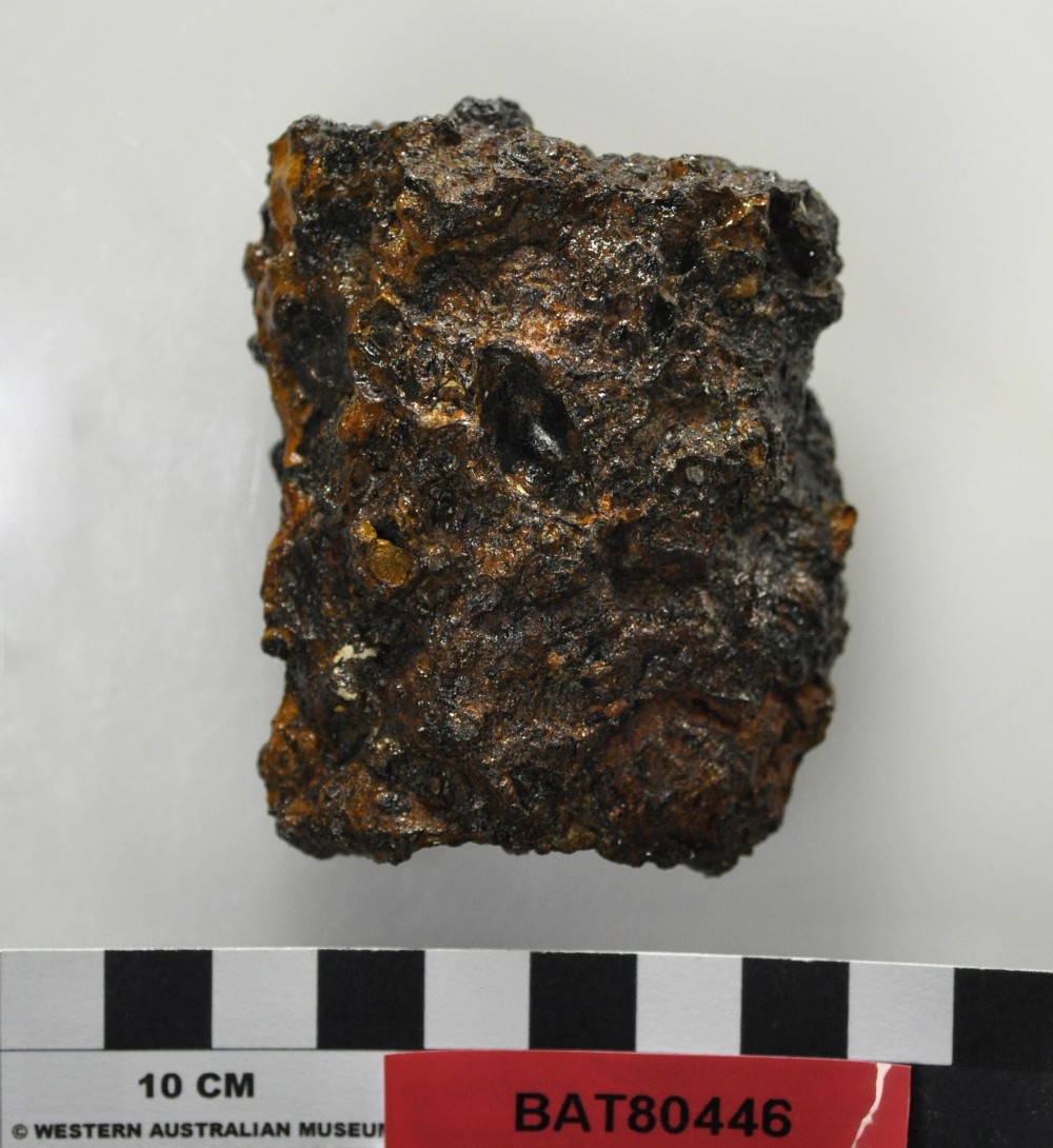 Concretions artefact recovered from Batavia