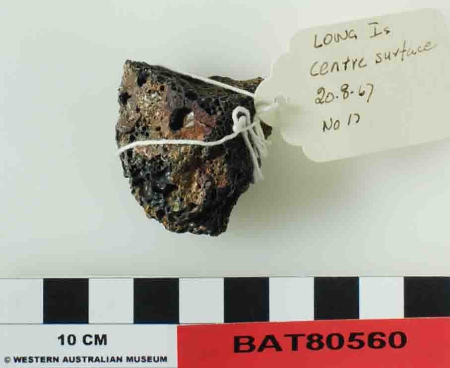 BAT80560a Animal artefact recovered from Batavia