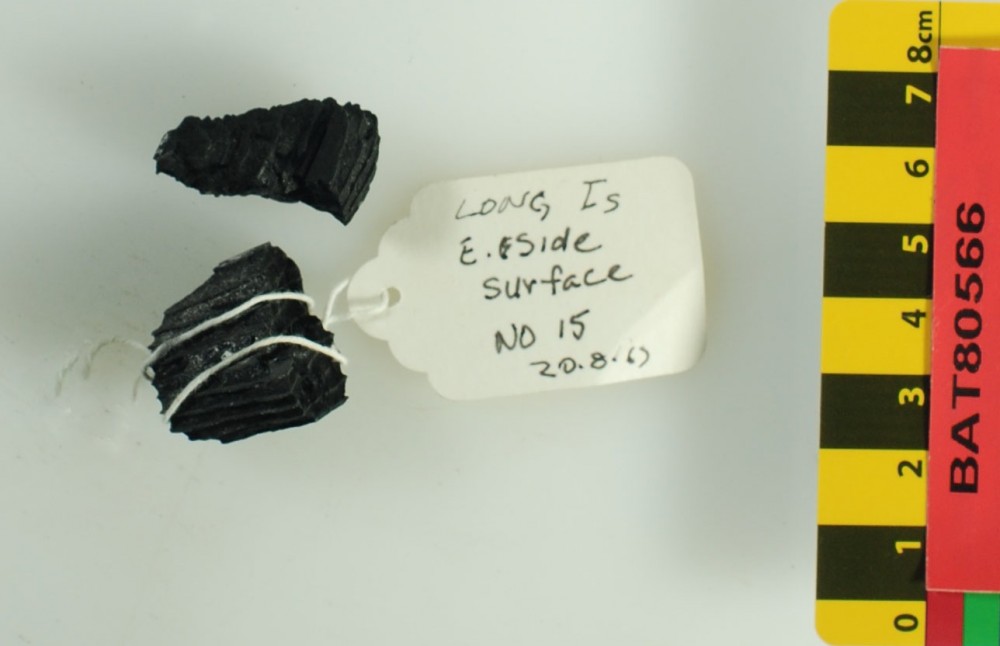 BAT80566 Charcoal etc artefact recovered from Batavia