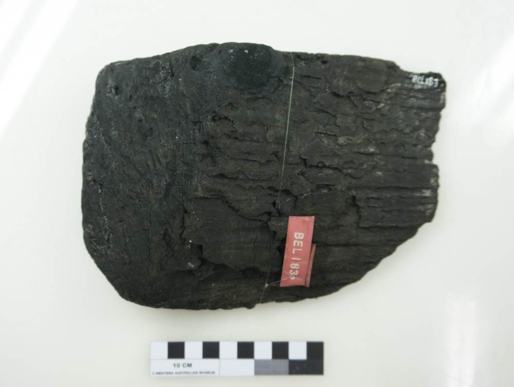Ship's timber artefact recovered from Belinda