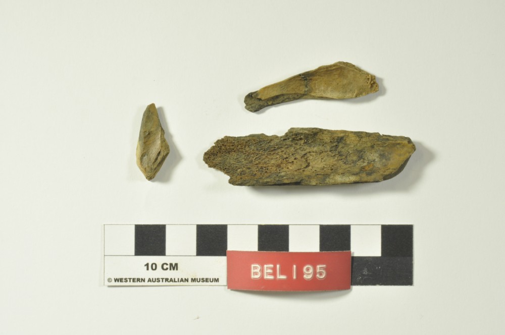 BEL195 Animal artefact recovered from Belinda