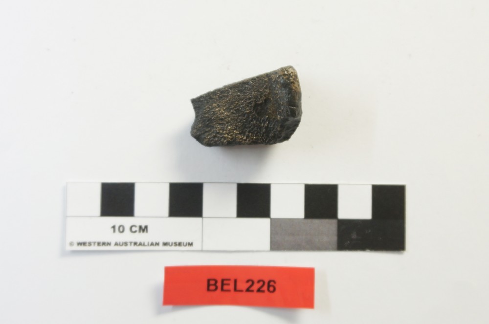 BEL226 Copper/brass artefact recovered from Belinda