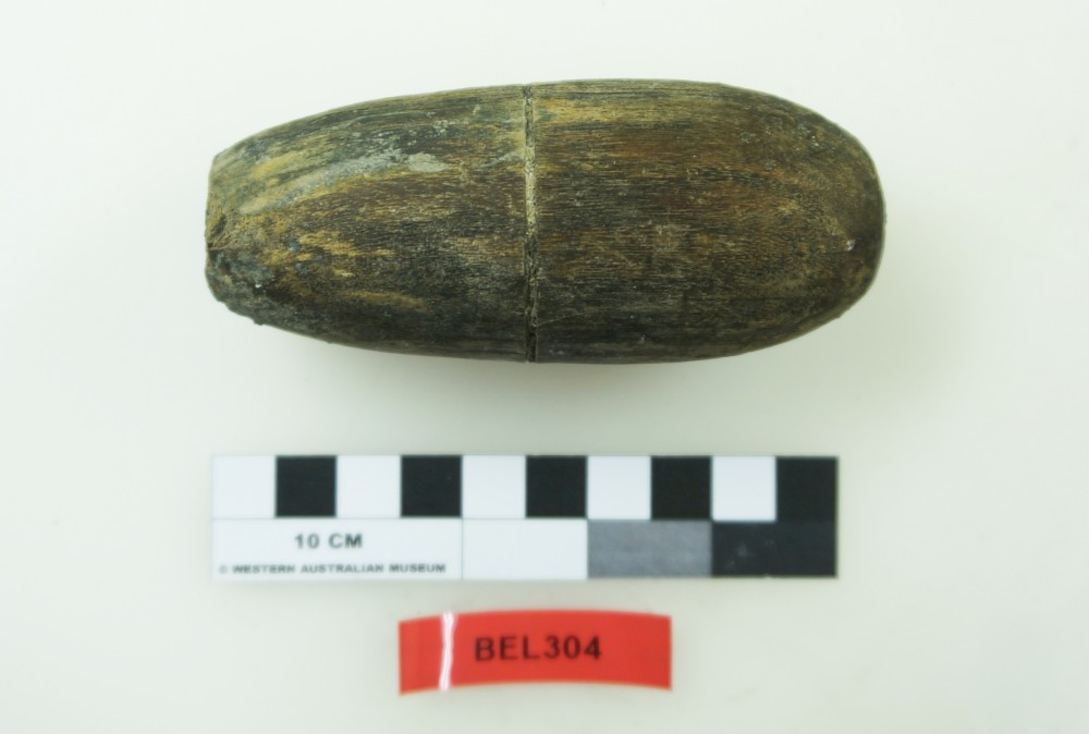 Miscellaneous artefact recovered from Belinda