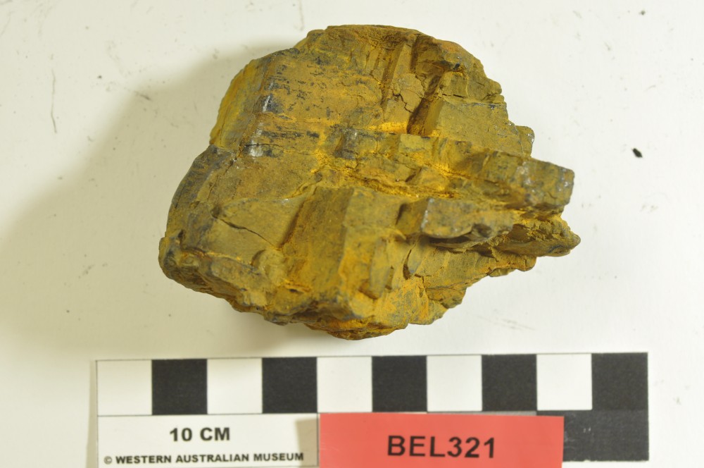 BEL321 Coal artefact recovered from Belinda