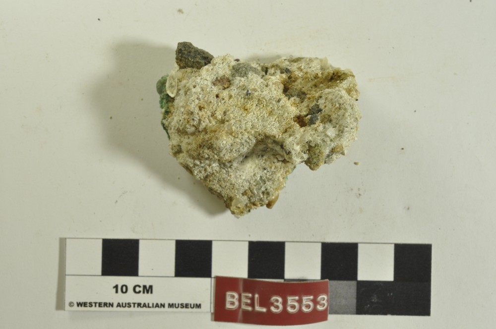 BEL3553 Marine artefact recovered from Belinda