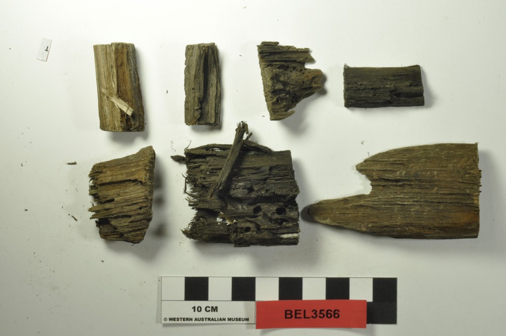 Ship's timber artefact recovered from Belinda