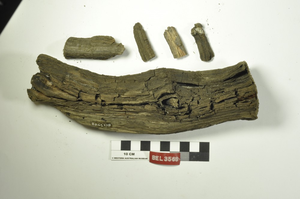 BEL3568 Ship's timber artefact recovered from Belinda